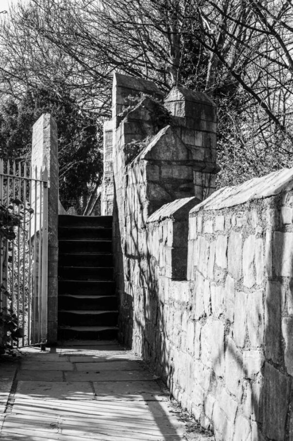 Bar Walls - Paula Duck Photographer